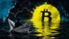 Is the Web3 startup extinction event here, as Wall Street silently inherits crypto architecture?
