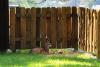 How to support wildlife during fire season