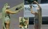 Vile woman who took duck from Las Vegas hotel fountain then tossed it back and forth and injured it should be cleared of wrongdoing because the animal was wild, lawyer says
