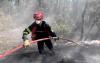 Vintners and bakers risk lives to fight French wildfires