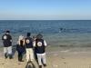 Call for protection of Kuwait’s wildlife and natural habitats