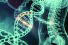 Sidra in Qatar's landmark first SMA gene therapy