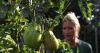 Program connects backyard gardeners with in-need residents
