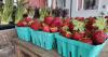 Delaware launches statewide "Food is Medicine" initiative to connect healthcare with healthy food