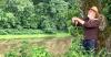 Farm Arts Collective presents, ‘Johnny Appleseed: An Historical Fantasia’