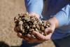U.S. critical minerals push faces supply gap ahead of China cutoff