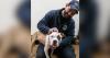 Gov. Whitmer signs bills to help Michigan's homeless animals