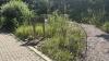 Pioneers Park Nature Center Offers Hands-On Lesson in Herbs and Gardening