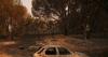 Historic ‘fire clouds’ escalate wildfire epidemic in Spain and France