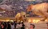 South China's largest natural history museum opens