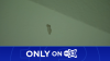'Scared for my life:' Neighbor recounts moment bullet went through Iowa Colony home