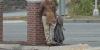 Lebanon seeks community volunteers for homelessness count