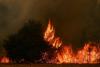Spain fire evacuees return, flames spreading in France