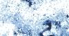 Missouri logs nearly 600 cases of cyclospora, 10% lead to hospitalizations 