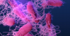 CT Department of Public Health reports 68 cases of cyclosporiasis