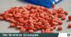 Yaba addiction tightening its grip on Bangladesh: The Irish Times