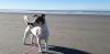 I’ve Visited Six Countries by Offering Pet-Sitting Services. Here’s Why It’s Ideal for Travelers.