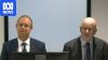 Doctors tell royal commission political advocacy has no place in healthcare