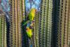 World Nature Conservation Festival: Caring for Nature is Caring for Our Common Good