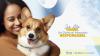 No More Suffering, One Responsible Pet Owner at a Time