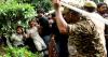 The Emergency’s ghost: Why India has been placed on the watchlist of a global civil society network