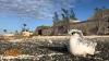 Johnston Atoll: How a nuclear test site became a wildlife refuge
