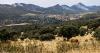 The owners of the mountains request a specific forestry taxation so that forest management is profitable.