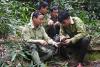 Tech helps Vietnam rangers turn the tide on poaching