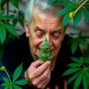 LiBBY trial results show THC-CBD combo significantly reduces end-of-life dementia agitation