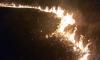 Boy’s snake hunt sparks 3 560ha veld fire