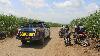 Guatemalan man deported from US and wife found dead in sugarcane field