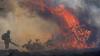 Risk from wildfires 'remains elevated across UK', with more than 200 recorded amid catastrophic French blazes
