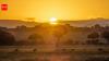 10 wild animals that make the Masai Mara one of Africa's greatest safari destinations