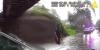 Milford police body cam video shows officers rescuing two people from flooded car as more heavy rain threatens Connecticut