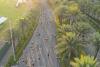 Race season picks up with two major running events in Manila