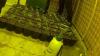 Around 50 city centre buildings at risk of being turned into cannabis factories