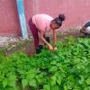 Rooted in agriculture, growing in science