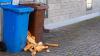 Australian families throw away about $2,000 in food a year, and bread tops the waste list