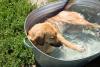 Cyprus braces for 40C heat as clear skies continue