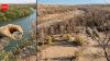 In 2001, scientists released beetles to fight an invasive tree. Years later, an endangered bird had lost 94% of its habitat along one western river