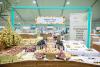 Qatar's date production tops 26,000 tonnes