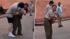 Taj Mahal Monkey Attack Video: South Korean Tourist Injured, ASI Seeks Action Over Ambulance Delay