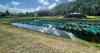 ‘Complete circular economy’: Tahiti Marine achieves cultivation of rare, endangered sea cucumbers