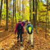 Registration now open for the Forest Society’s 2026 Five Hikes Challenge