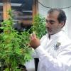 Kaya tests market with protein-infused beverages through Israeli partnership