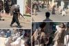 UNAMA Report: Periodic Crackdown on Herat Women Intensifies Under Guise of Mandatory Hijab