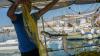Greece’s toxic puffer fish invasion