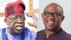 2027: ‘Tinubu not tired’ – Yilwatda fires back at Obi’s resignation call