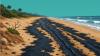 Oil spills around Oman: EA puts in measures to minimise damage