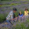 Plains family farm offers educational opportunities